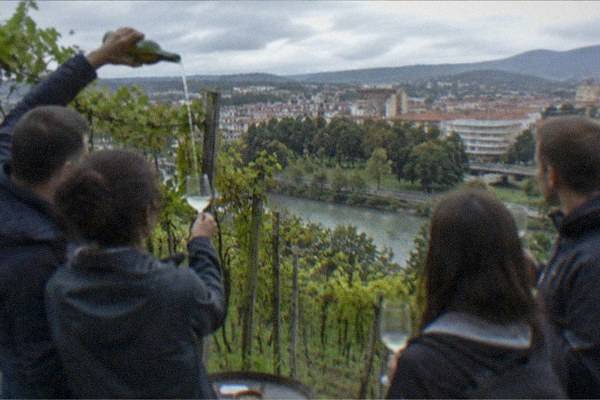 11-Hour Full Day, Txakoli Tasting, Bilbao
