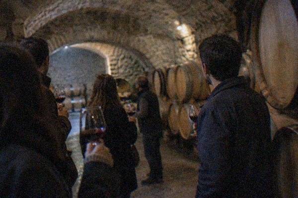 Vitoria and Rioja, Winery Visit, Bilbao