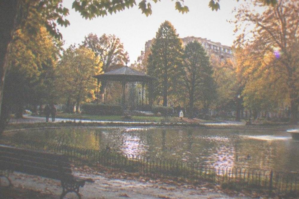 Golden afternoon light on park trees and a fountain basin in autumn