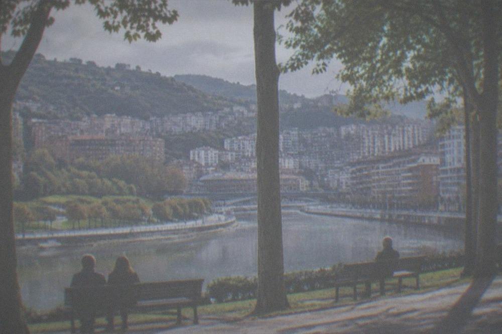 People seated on park benches under tall trees near a city boulevard