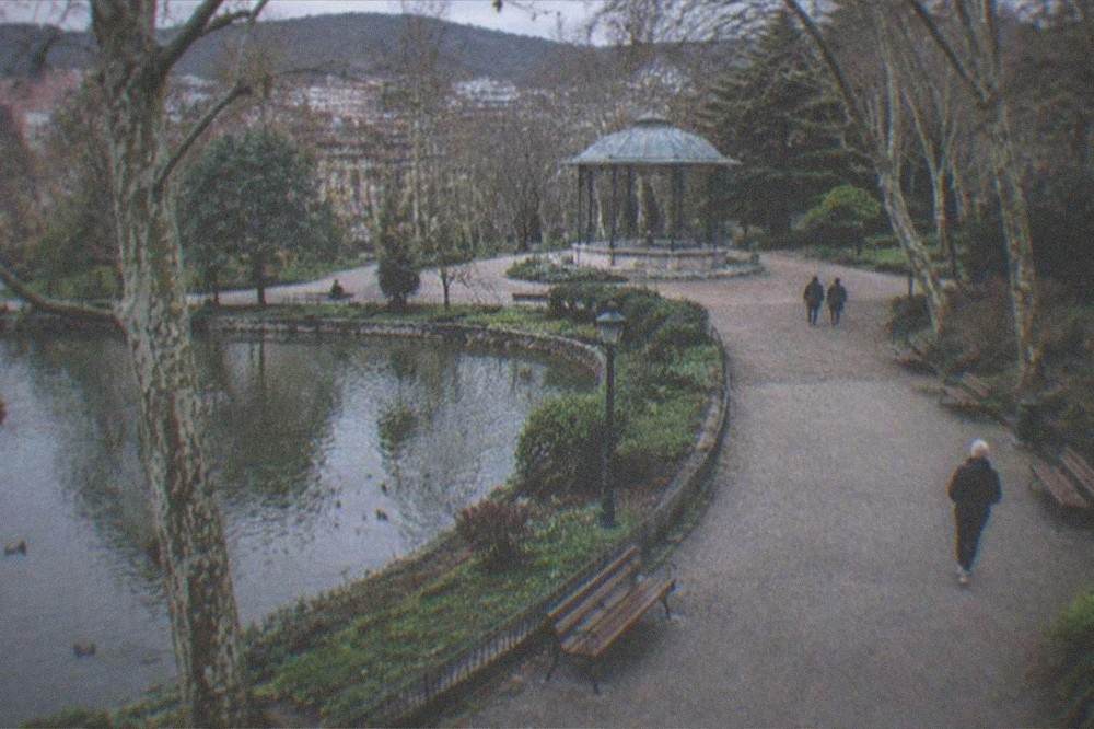 Wide smooth park pathway with benches and low planting suitable for wheelchairs and strollers