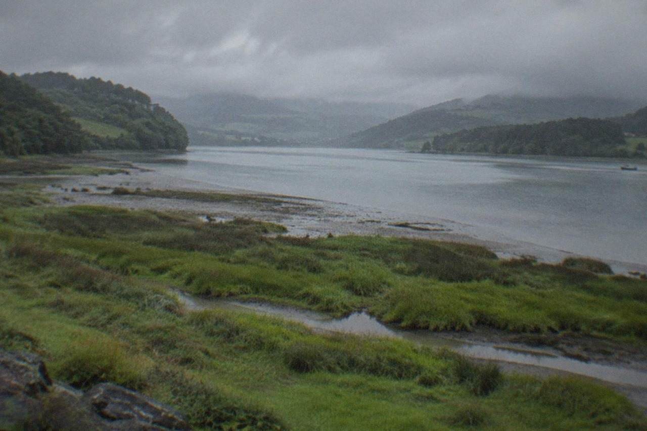 Green estuary marshes and hills of the Urdaibai Biosphere Reserve in Biscay, northern Spain