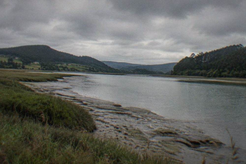 Tidal marshes of the Oka estuary in Urdaibai with low hills and scattered farmhouses