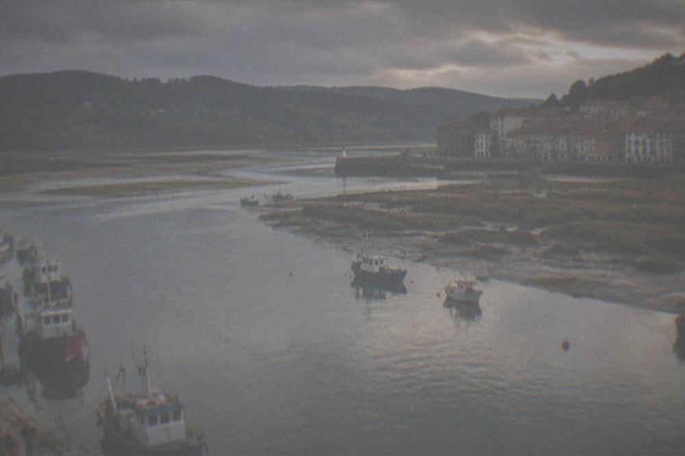 Fishing boats moored in the harbour of Bermeo with the old town behind