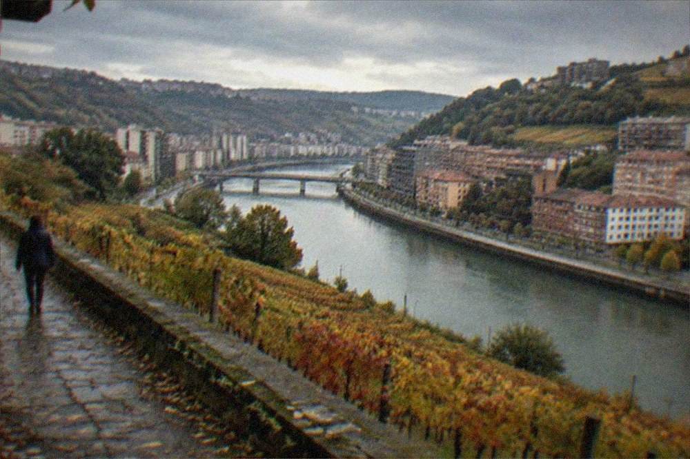 Vineyards in the Rioja region near Bilbao showing autumn colors on the hills