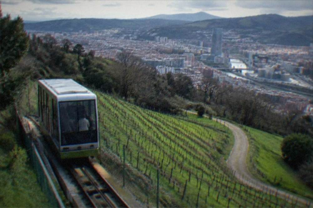 A hillside trail winding between green vineyard rows under a cloudy sky