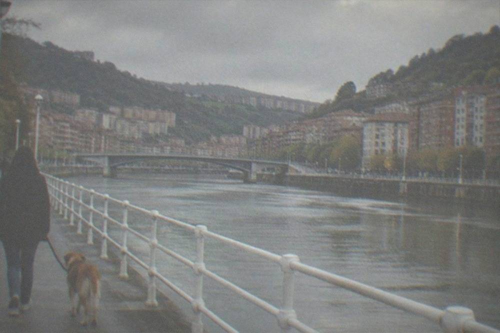 A leashed dog walking with its owner along a wide riverside promenade beside calm estuary water