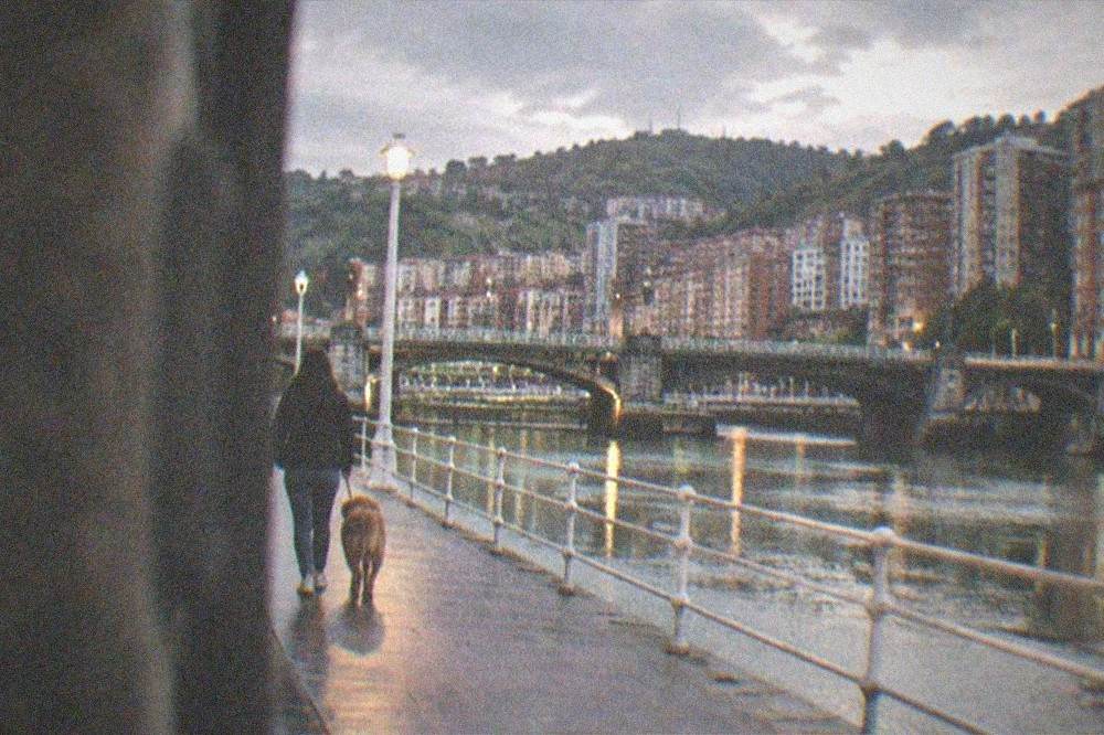 A leashed dog and its owner walking away from the camera along an evening riverside promenade with illuminated bridges