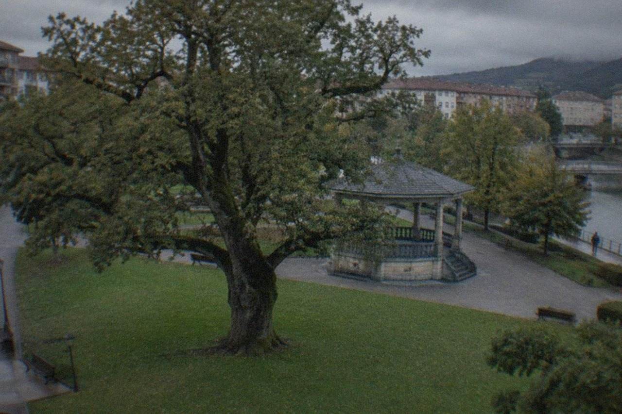 An old oak tree standing on a green lawn in Gernika with a stone pavilion behind it