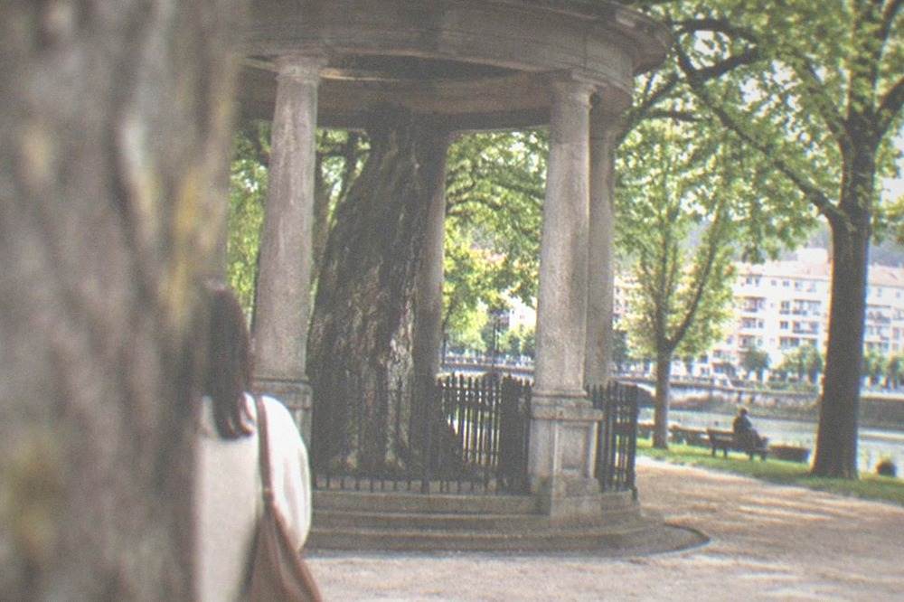 A stone pavilion with columns sheltering a preserved tree trunk behind a low fence